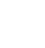 新