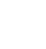 元